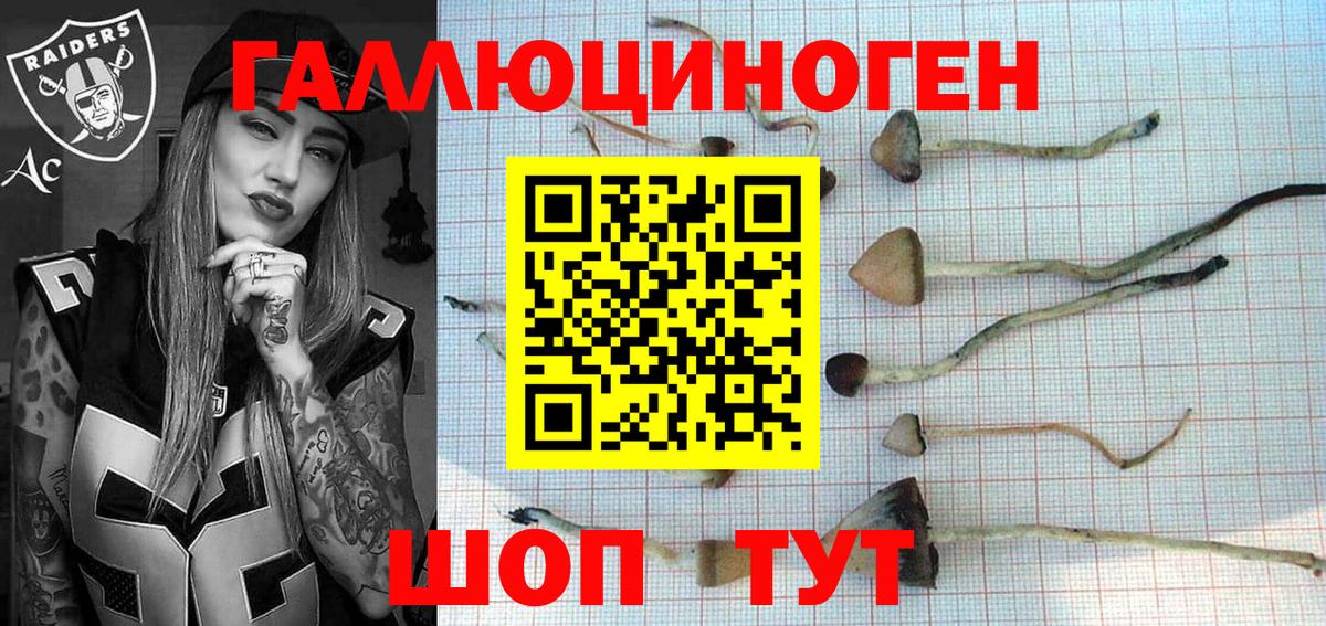 Галлюциногенные грибы мицелий  Галлюциногенные грибы Psilocybe  Вход с VPN  Кумертау 